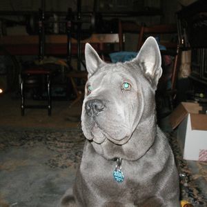 Meet your Posher, Richard